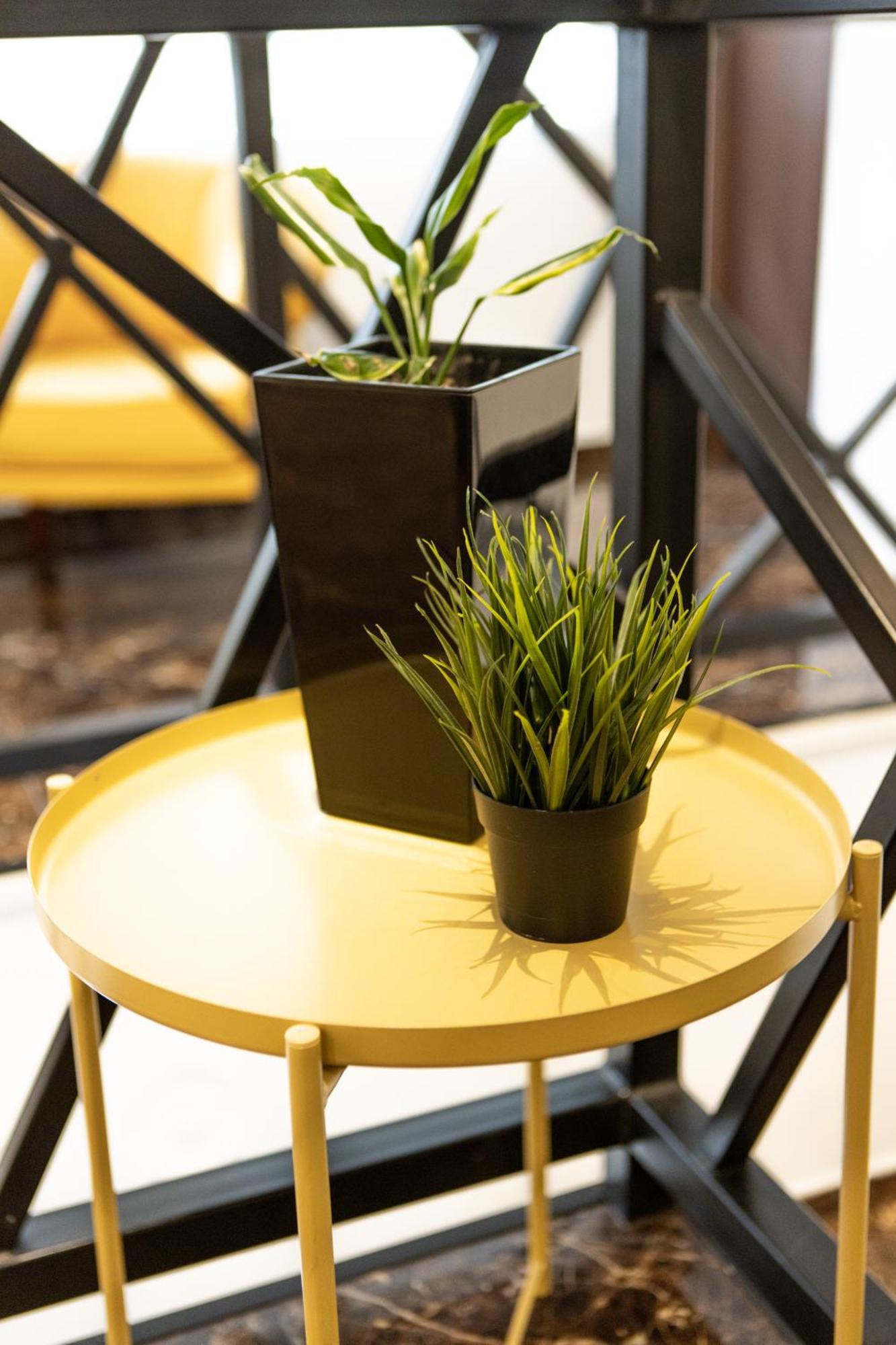 Garni House 46 Plus Beograd Bagian luar foto