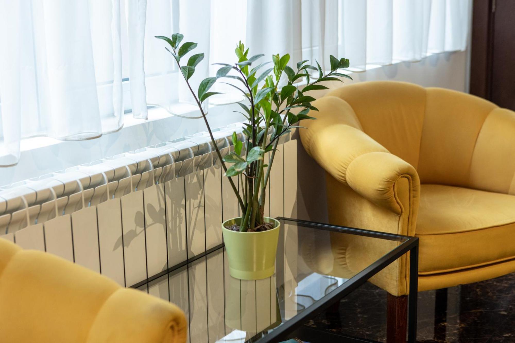 Garni House 46 Plus Beograd Bagian luar foto